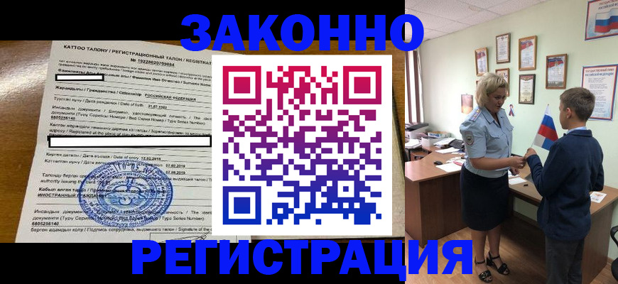 миграционный учет в Полярных Зорях